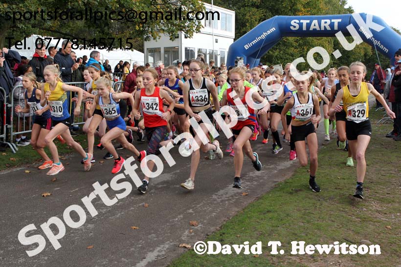 Girls under-13 3 stage road relay, 2019 ERRA 6 and 4 Stage Relay and Young Athletes.  Photo: David T. Hewitson/Sports for All Pics
